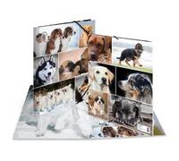 Herma 19211 Fichier Carton Multicolore A4