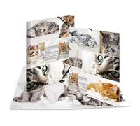 Herma 19212 Fichier Carton Multicolore A4