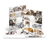 Herma 19219 Fichier Carton Multicolore A3