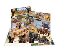 Herma 19222 Fichier Carton Multicolore A3