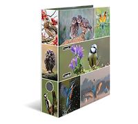 Herma Classeur à levier «Monde animal» Oiseaux – Dos 70 mm – A4 – Impression intérieure