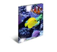 HERMA 19324 Classeur A4 en plastique solide avec effet brillant et rabats intérieurs imprimés Motif animaux et poissons