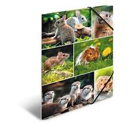 HERMA 19343 Classeur A4 Animal Worlds Rongeurs pour enfants en carton avec impression intérieure et bande élastique