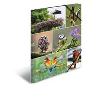 HERMA 19345 Classeur A4 Animal Worlds Home Birds en carton robuste avec impression intérieure complète et bande élastique pour enfants, garçons et filles