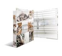 HERMA Classeurs á 2 anneaux A4 Animaux motif chats, dos de 35 mm, Classeur en carton rigide, Avec compresseur