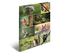 HERMA 19451 Porte-documents A3 animaux de la forêt pour enfants en carton avec impression intérieure et bande élastique, robuste pour garçons et filles