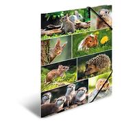 HERMA 19453 Lot de 3 chemises format A3 Animal Worlds Rongeurs en carton pour enfants avec impression intérieure et bande élastique