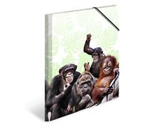 Herma Chemise à élastiques Animaux exotiques A4 Singes