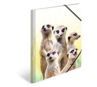 HERMA 19961 Lot de 3 porte-documents A4 en plastique pour enfants Motif troupes de suricate avec impression intérieure et bande élastique