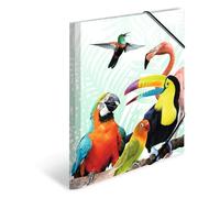 Chemise à élastiques Animaux exotiques, A3, oiseaux