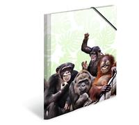 Chemise à élastiques Animaux exotiques, A3, singes