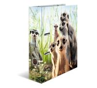HERMA 20048 Lot de 10 classeurs A4 animaux suricate 7 cm de large en carton avec impression intérieure pour l'école et le bureau - Lot de 10 classeurs à anneaux solides en carton pour garçons et