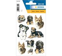 HERMA 3341 Animaux Stickers pour Enfants Chiens (27 Autocollants Papier Mat) Autocollants permanents Motif Étiquettes pour filles et garçons Multicolore