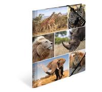 Chemise à élastiques 'animaux d'afrique', en carton,