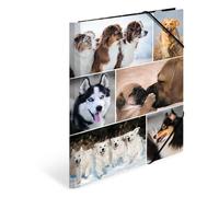 Herma Chemise à élastiques motif Chiens A4 – carton robuste, impression intérieure