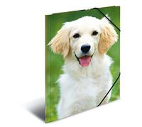 chemise élastique 'chiens', en PP, A3,