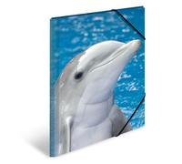 chemise élastique 'dauphin', transparent, en PP, A3,