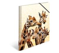 Chemise à élastiques Animaux exotiques, A3, girafes