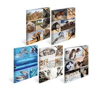 HERMA Chemises à élastique Animaux, Lot de 10, A4, carton robuste, avec impression intérieure, 1 porteé de chemise