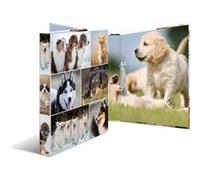 Herma Classeur à 2 anneaux A4 'Animals' motif chiens – dos 35 mm, carton rigide, avec compresseur