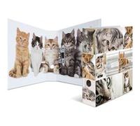 HERMA Classeur à levier à motifs 'Animals', A4, chats G