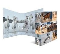 Herma Classeur à levier 7164 à motifs 'Animals' chevaux – A4