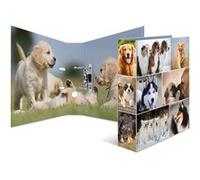 HERMA Classeur à levier à motifs 'Animals', A4, chiens G