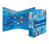 HERMA Classeur à levier à motifs 'Animals', A4, dauphins G