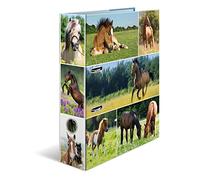 HERMA Classeur à levier Motif Mondes d'animaux avec motif prairie de chevaux Format A4 Dos 70 mm Avec impression intérieure 1 classeur