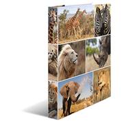 HERMA Classeurs á 2 anneaux A4 Animaux motif animaux afrique, dos de 35 mm, Classeur en carton rigide, Avec compresseur