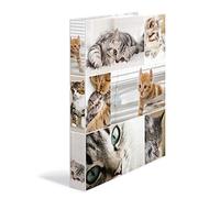 HERMA Classeurs á 2 anneaux A4 Animaux motif chats, dos de 35 mm, Classeur en carton rigide, Avec compresseur