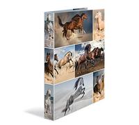 Herma Classeur à anneaux 'chevaux' A4 mécanisme 4 anneaux Dos 35 mm Carton rigide Avec compresseur