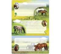 Herma Étiquettes pour livres 5568 Chevaux - Lot de 6, 76 x 35 mm, autocollantes lignées, multicolore