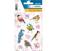 HERMA 15693 Lot de 36 autocollants en papier avec motifs d'oiseaux pour garçons et filles