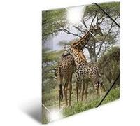 Herma herma chemise à élastiques "girafe" , pp glossy, a4 noir G