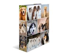 HERMA Lot de 10 classeurs A4 en forme de chien, 7 cm de large, classeur à anneaux pour enfants avec motif animal, classeur à levier coloré avec impression intérieure, pour garçons et filles