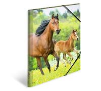 HERMA Lot de 3 chemises A3 en plastique pour enfants avec motif animal, bande élastique, rabats intérieurs et impression intérieure pour garçons et filles