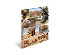 HERMA Lot de 3 chemises A3 Lion, pour enfant, en carton, avec motif animal africain, élastique, rabat intérieur et impression intérieure, pour garçons et filles