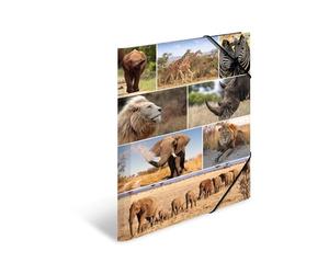 HERMA Lot de 3 chemises A3 Lion, pour enfant, en carton, avec motif animal africain, élastique, rabat intérieur et impression intérieure, pour garçons et filles