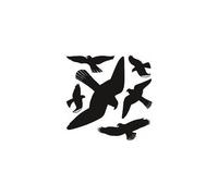 HERMA oiseaux de vitres, film, r¿sistant aux intemp¿ries,