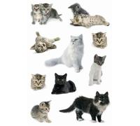 Autocollants DECOR 'Photos de chats'