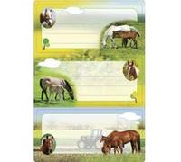 Herma Étiquettes pour livres 5568 Chevaux - Lot de 6, 76 x 35 mm, autocollantes lignées, multicolore
