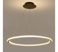Hertl Lustre en métal de style nordique, lampe à suspension intégrée au plafond, lampe suspendue à trois tons, lampe à suspension LED, chambre à coucher, salle à manger décorée avec des luminaires (C