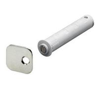 HETTICH Lot de 2 aimants à pression plastique HETTICH, L.41 x Diam.10 mm G
