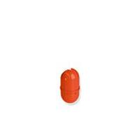 Hewi 805 étui à pinceaux 477.20.E0436 pour WC - garniture de toilette , corail