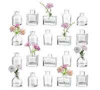 Hewory Mini Vase Transparent Verre: 20pièces Petit Vase Decoratif Design Soliflore en Verre pour Decoration Mariage Maison