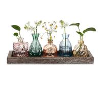 Hewory Petit Vase en Verre Decoratif: 5 Vase Fleur Soliflore en Verre avec Plateau en Bois pour Centre de Table - Coloré Mini Vases Decoratifs en Verre Vase Decoratif Design pour Decoration Interieur