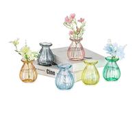 Hewory Vases en Verre Coloré : 6 Fiole Vase Decoratif Design Soliflore pour Centre de Table - Vase Verre pour Maison Home Salon Decoration Mariage
