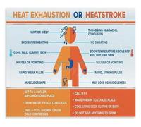 HGETJOHXEM Avoid Heat Stroke Poster Heat Illness Symptoms First Aid Home Decor Print(Framed,12x18inch(30x45cm))