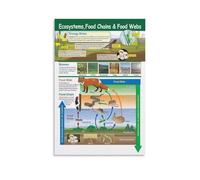 HGETJOHXEM Food Chain Canvas Print Science Wall-Art Poster of Ecosystems and Webs for Nature Themed Room Office Decor(Unframed,12x18inch(30x45cm))